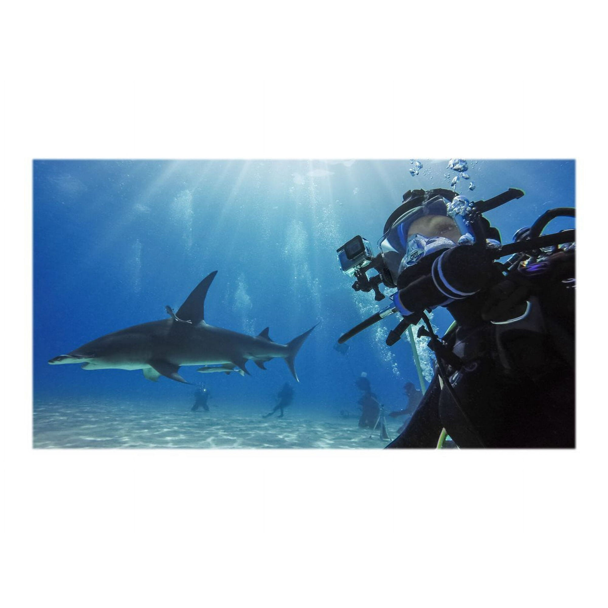 GoPro AJDIV-001 Waterproof Underwater Camera Housing Type, Black